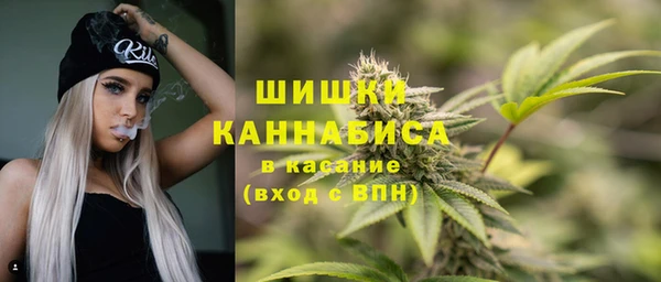 спайс Алзамай