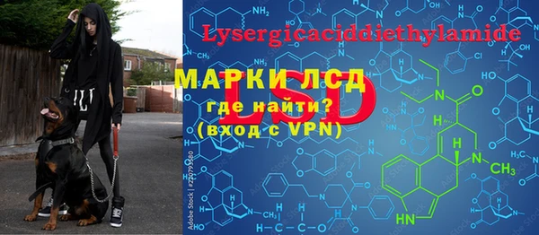 спайс Алзамай